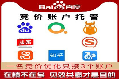 成功案例揭秘：sem账户托管的转化率奇迹